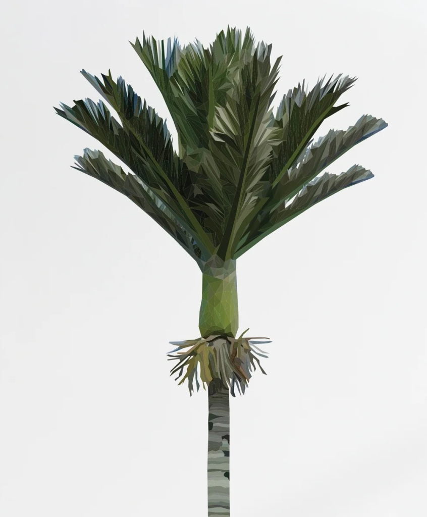 Nikau
