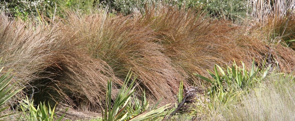oioi.webp
